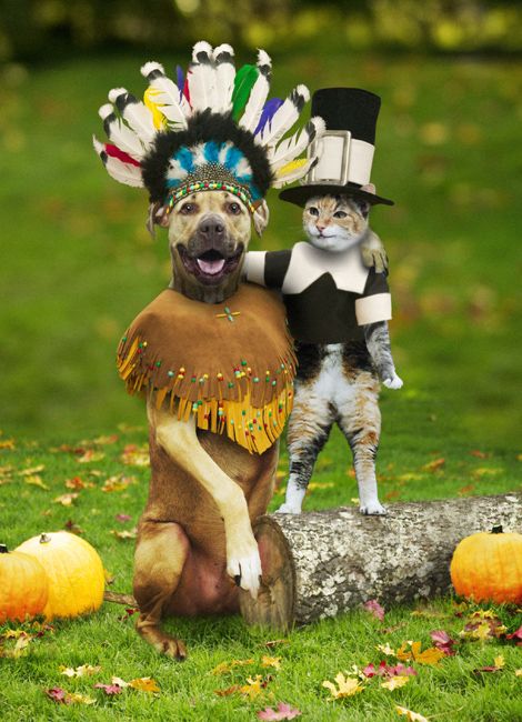 catdogthanksgiving