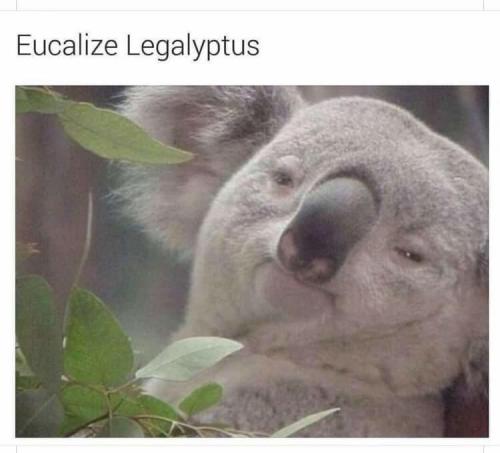 E9FD895B-5839-4DD6-ACE6-9DF51171B1D8