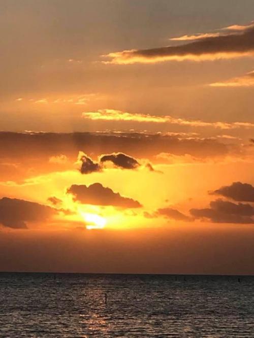 08:18:56 GMT-0500 (EST)