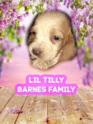 93166691-1601734239981151-7810047133242884096-n