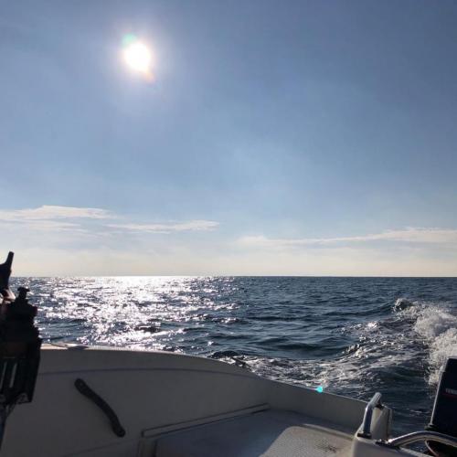 10:21:20 GMT+0000 (GMT)