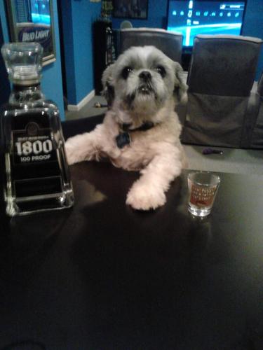 13:25:07 GMT-0500 (EST)