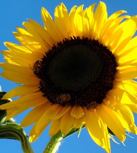 15:47:39 GMT-0800 (PST)