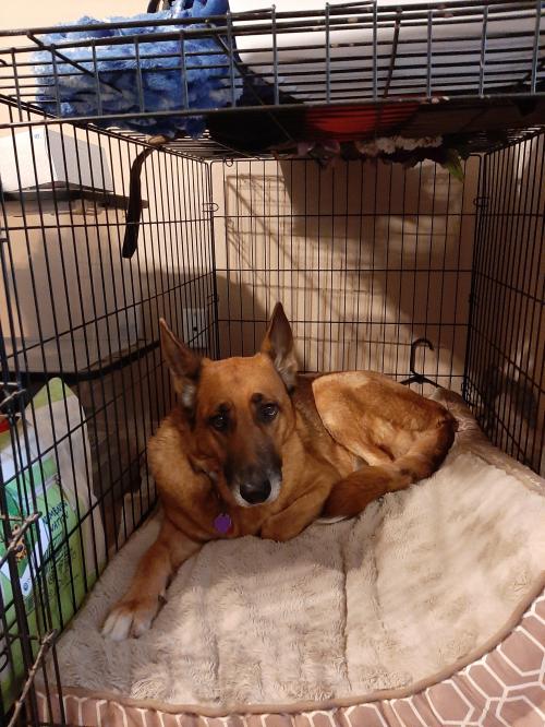 13:22:07 GMT-0600 (CST)