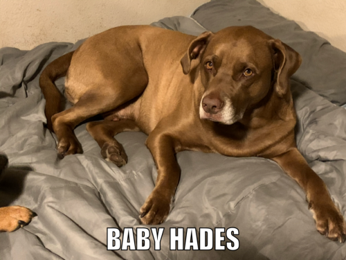 23:49:02 GMT-0600 (CST).image