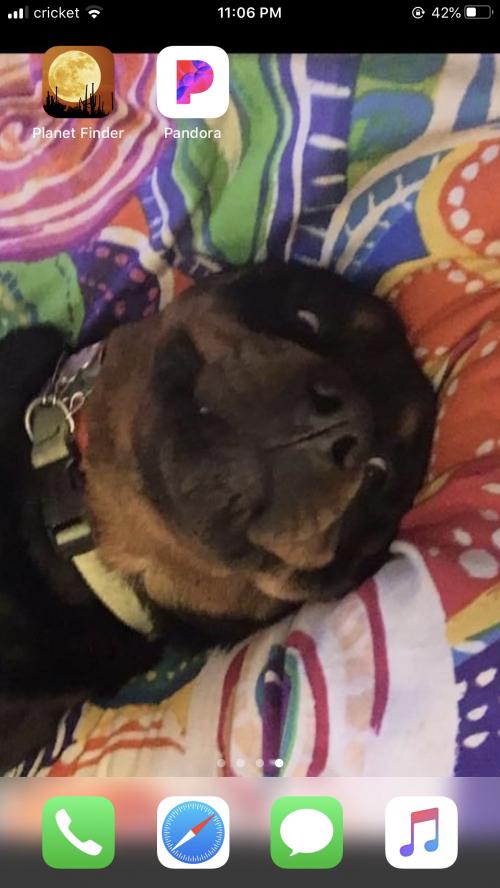 13:10:25 GMT-0500 (EST).image