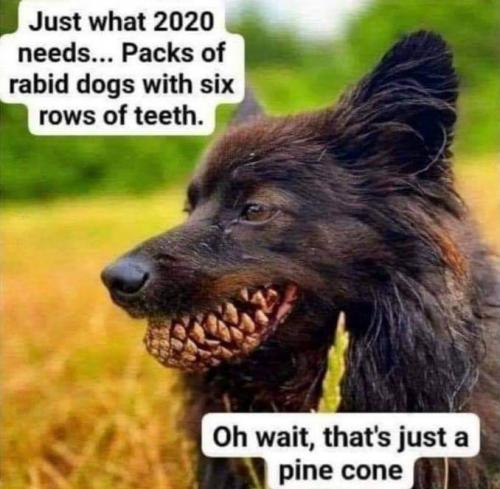 11:41:42 GMT-0800 (PST)