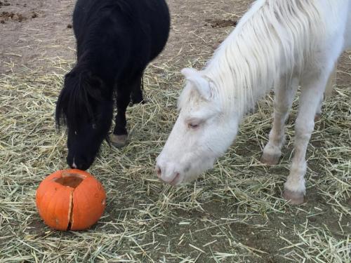 07:49:16 GMT-0800 (PST).image