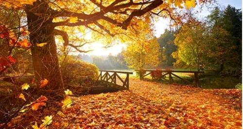 18:01:00 GMT-0600 (CST)