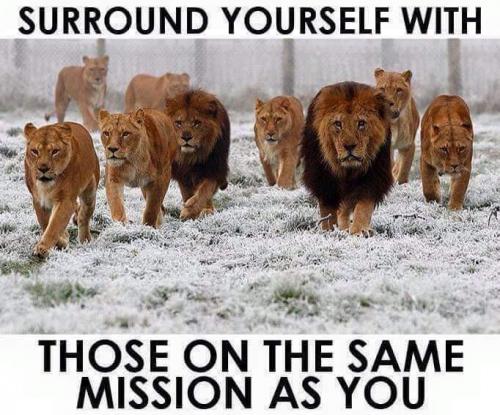 FB_IMG_1584672612655