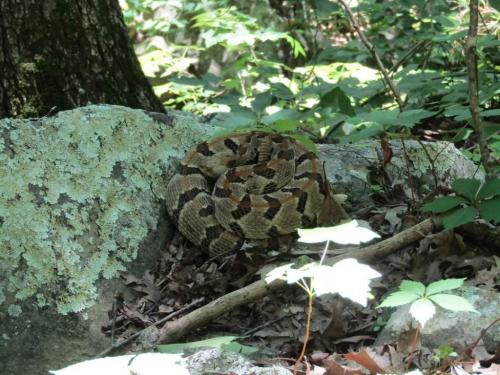 09:51:03 GMT-0600 (CST)