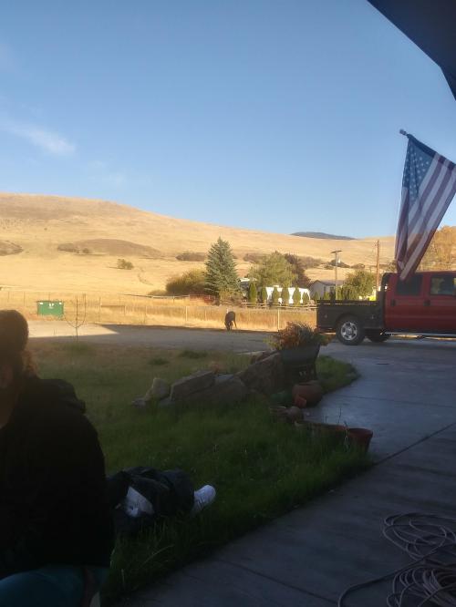 16:37:03 GMT-0700 (MST)