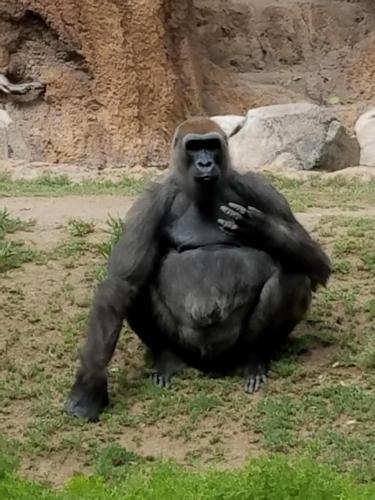 15:26:21 GMT-0800 (PST)