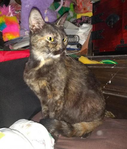 12:18:03 GMT-0600 (CST)