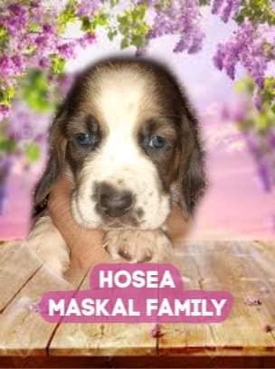 93166699-1601734143314494-3191783441121148928-n