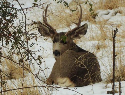 18:32:38 GMT-0800 (PST)