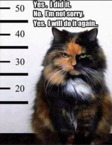 01:07:59 GMT-0800 (PST).image