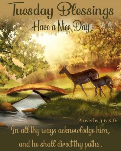 09:38:35 GMT-0600 (CST)