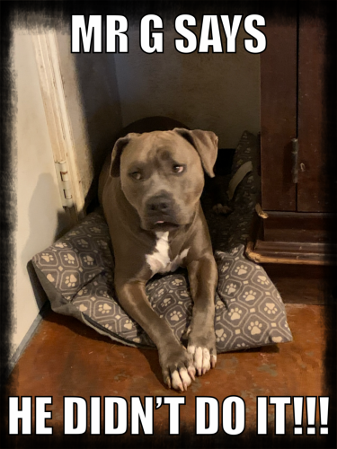 16:52:55 GMT-0600 (CST).image