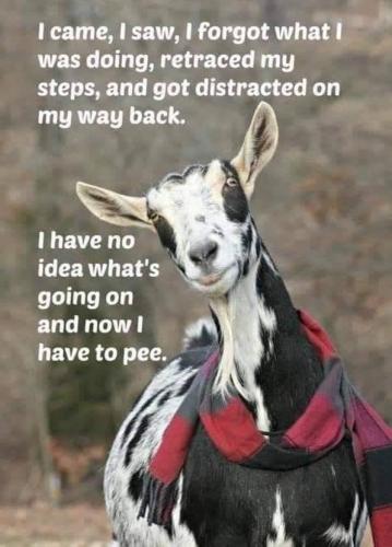 01:45:33 GMT-0800 (PST).image