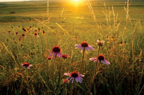 00:51:06 GMT-0600 (CST).image