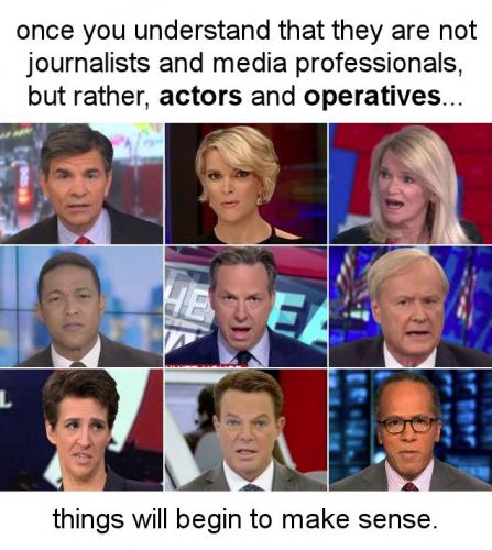 msm100