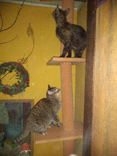 09:55:08 GMT-0600 (CST)