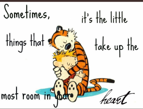 08:42:41 GMT-0500 (EST)