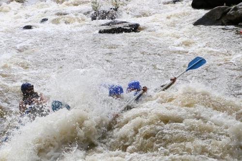 DF926152-87D3-412D-83DC-7DCFABB8A173