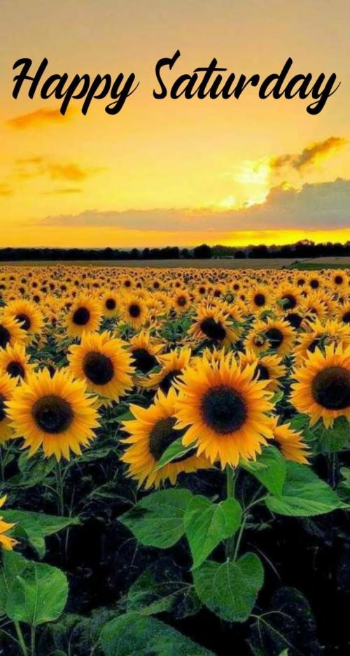 15:04:03 GMT-0600 (CST).image