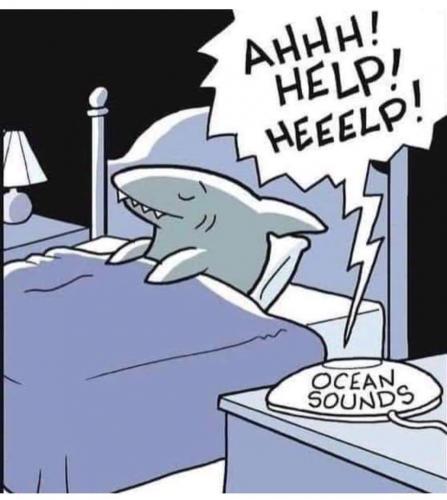 20:11:47 GMT-0600 (CST).image