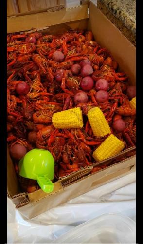 21:31:08 GMT-0600 (CST)