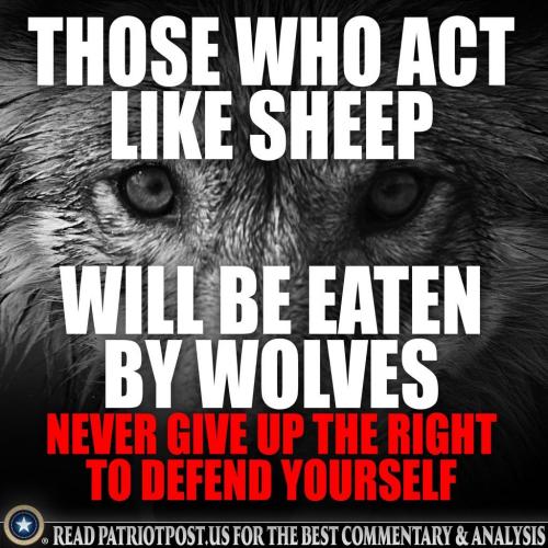 15:05:07 GMT-0800 (PST).image