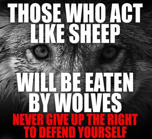 125566773_10160558735754745_3213919477098539898_o