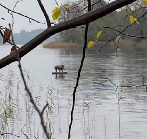 124165289_10164213781835153_4373778602953755242_o