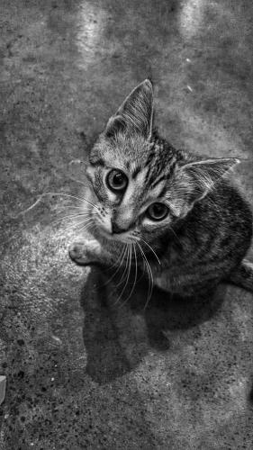 IMG_20141112_110800624