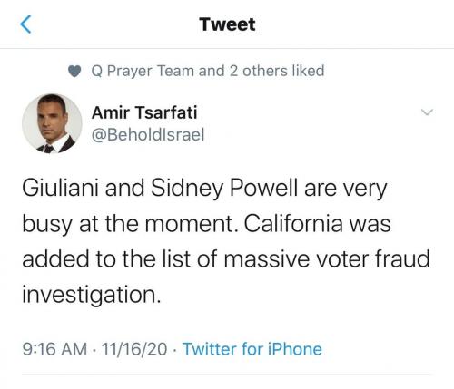 Ca Voter Fraud