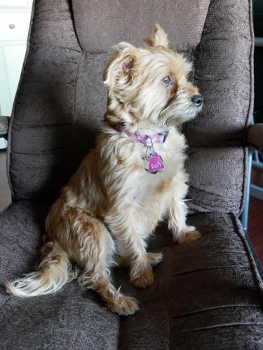 16:40:42 GMT-0800 (PST)