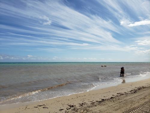 19:50:30 GMT-0600 (CST)