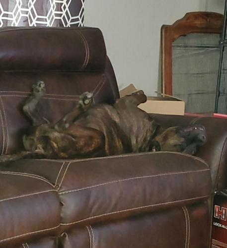 19:14:02 GMT-0600 (CST)