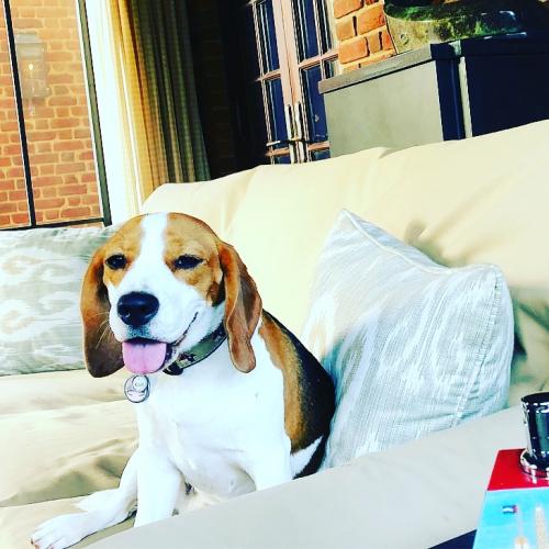 19:37:53 GMT+0100 (WAT)