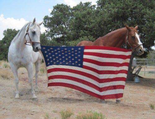 23:09:45 GMT-0500 (EST).image