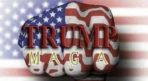 40377683_524032931368051_4272477056236781568_n