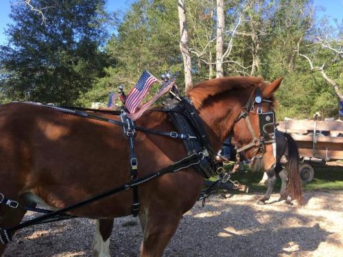 22:25:53 GMT-0600 (CST)