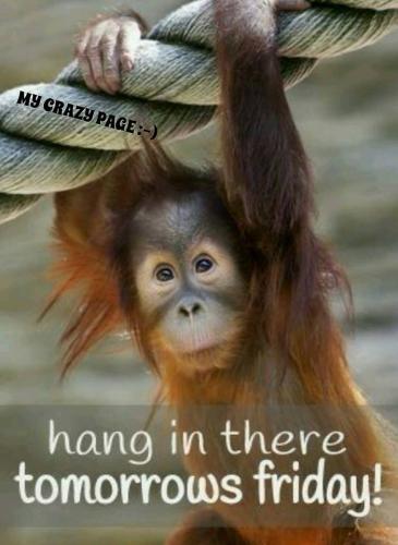 000 GOOD MORNING THURSDAY HANG