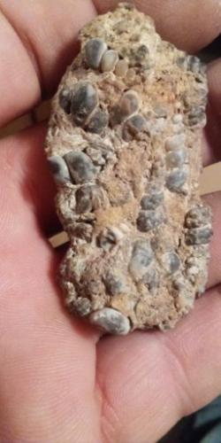 21:42:15 GMT-0600 (CST)