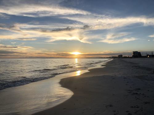 11:46:37 GMT-0500 (EST).image