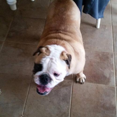 12:10:08 GMT-0600 (CST)