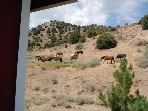 00:12:50 GMT-0800 (PST)