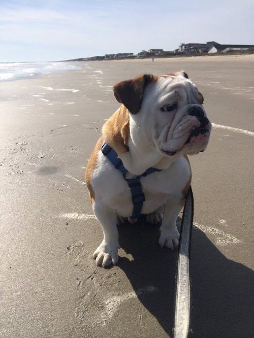 064829ED-FF7F-4761-AE70-3CD40A94C507